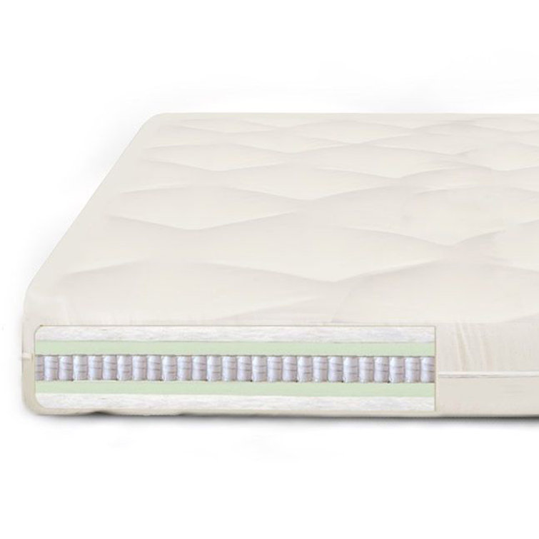 Arsuite Anley 8" Coil Spring Futon Mattress & Reviews Wayfair